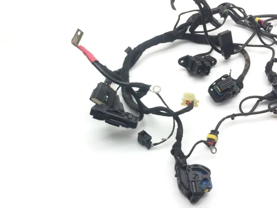 Main Engine Wiring Harness 2006 Ducati Multistrada 620 Dark 2186A