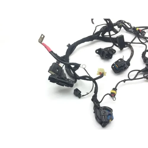 Main Engine Wiring Harness 2006 Ducati Multistrada 620 Dark 2186A 2
