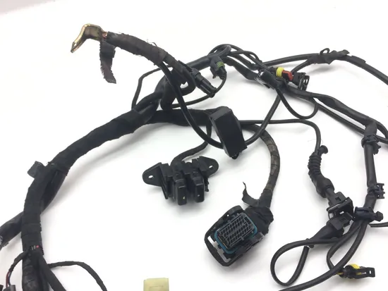 Main Engine Wiring Harness 2006 Ducati Multistrada 620 Dark 2186A