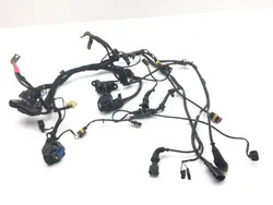 Main Engine Wiring Harness 2006 Ducati Multistrada 620 Dark 2186A