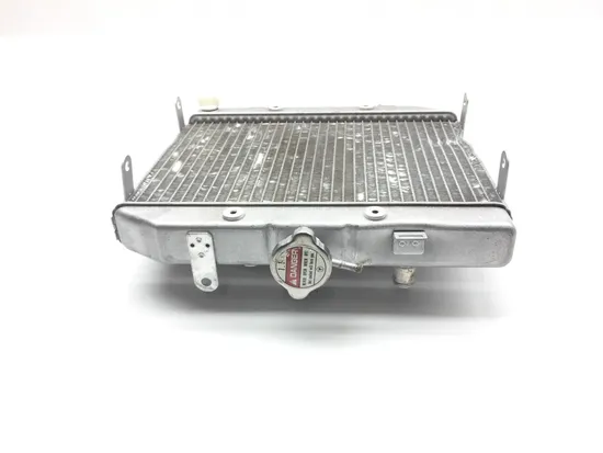 Rubicon 500 Engine Radiator Cooling from 2002 Honda x