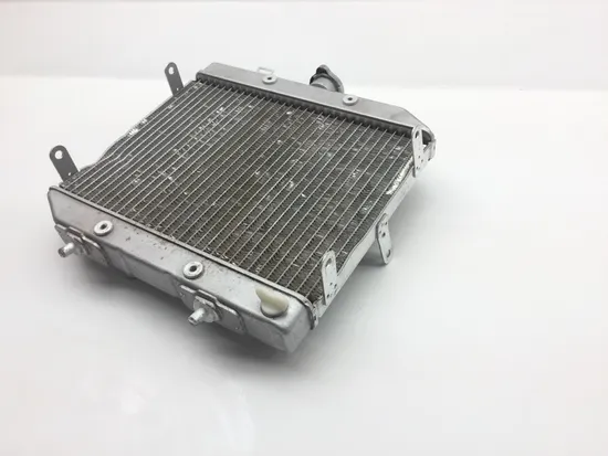 Rubicon 500 Engine Radiator Cooling from 2002 Honda x