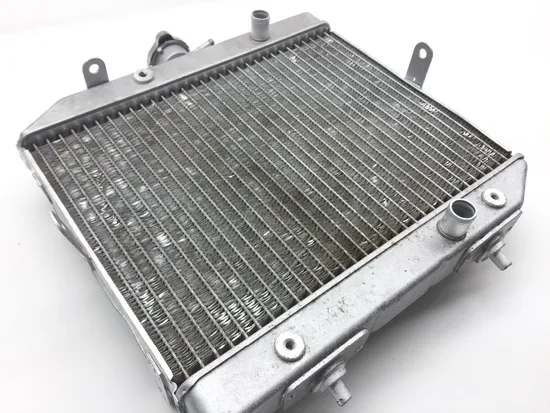 Rubicon 500 Engine Radiator Cooling from 2002 Honda x