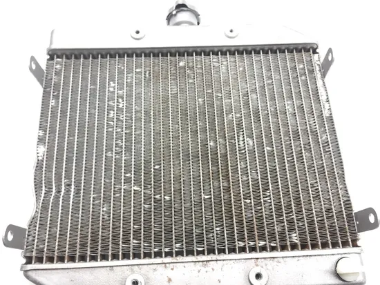 Rubicon 500 Engine Radiator Cooling from 2002 Honda x