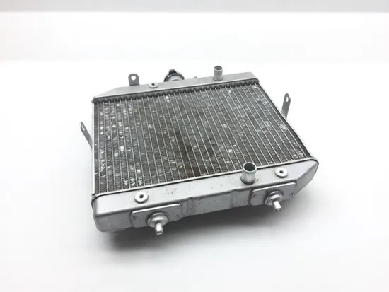 Rubicon 500 Engine Radiator Cooling from 2002 Honda x