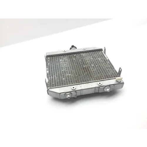 Rubicon 500 Engine Radiator Cooling from 2002 Honda x 3