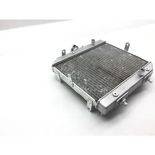 Rubicon 500 Engine Radiator Cooling from 2002 Honda x 11