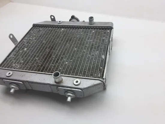 Rubicon 500 Engine Radiator Cooling from 2002 Honda x