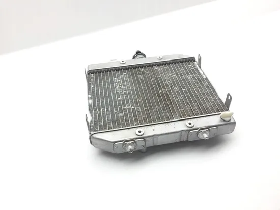 Rubicon 500 Engine Radiator Cooling from 2002 Honda x