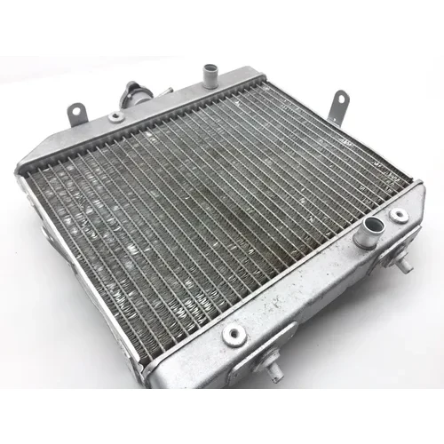 Rubicon 500 Engine Radiator Cooling from 2002 Honda x 15