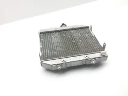 Rubicon 500 Engine Radiator Cooling from 2002 Honda x