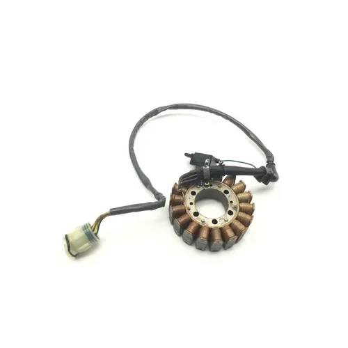 Rubicon 500 Engine Stator Generator from 2003 Honda TRX 500FA 3