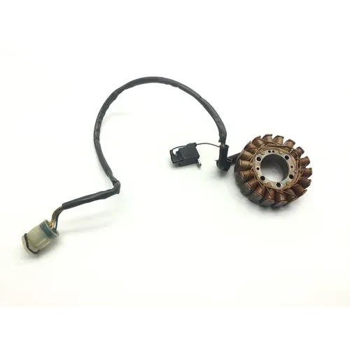 Rubicon 500 Engine Stator Generator from 2003 Honda TRX 500FA 2