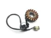 Rubicon 500 Engine Stator Generator from 2003 Honda TRX 500FA