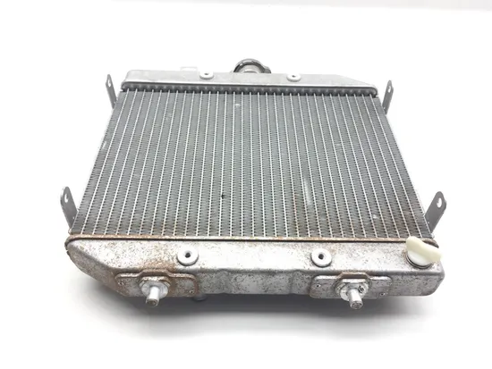 Rubicon 500 Engine Radiator Cooling from 2003 Honda TRX 500FA