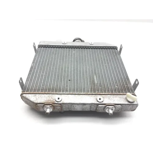 Rubicon 500 Engine Radiator Cooling from 2003 Honda TRX 500FA 5