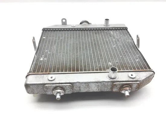 Rubicon 500 Engine Radiator Cooling from 2003 Honda TRX 500FA