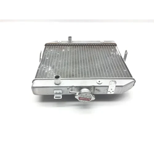 Rubicon 500 Engine Radiator Cooling from 2003 Honda TRX 500FA 3