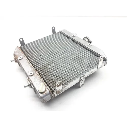 Rubicon 500 Engine Radiator Cooling from 2003 Honda TRX 500FA 7