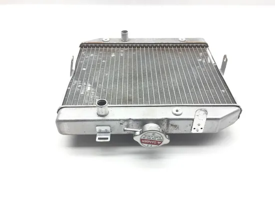 Rubicon 500 Engine Radiator Cooling from 2003 Honda TRX 500FA