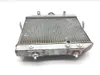 Rubicon 500 Engine Radiator Cooling from 2003 Honda TRX 500FA