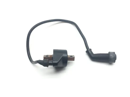 Ignition Coil 1997 Polaris Xpress 300 2134