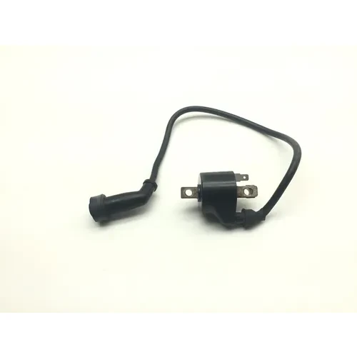 Ignition Coil 1997 Polaris Xpress 300 2134