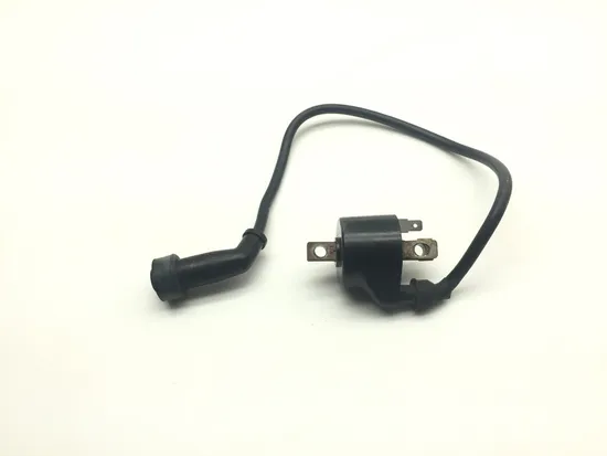 Ignition Coil 1997 Polaris Xpress 300 2134