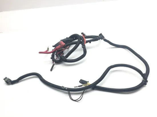 Main Engine Wiring Harness 1997 Polaris Xpress 300 2134