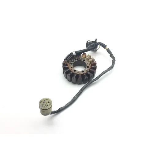 500 Rubicon Engine Stator Generator from 2005 Honda GPS
