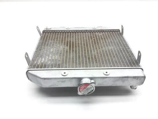 500 Rubicon Engine Radiator Cooling from 2005 Honda GPS