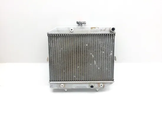 500 Rubicon Engine Radiator Cooling from 2005 Honda GPS