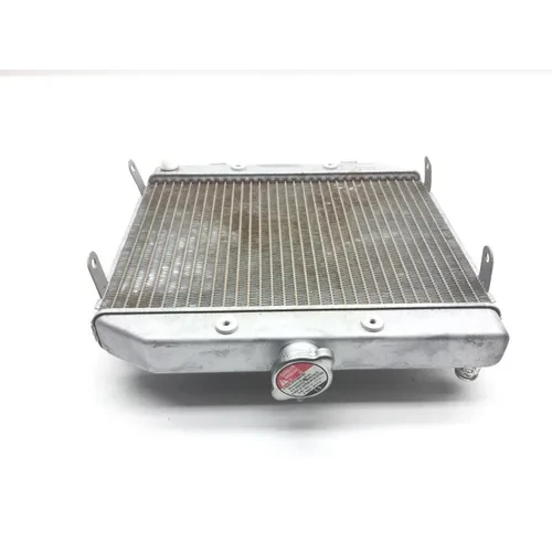 500 Rubicon Engine Radiator Cooling from 2005 Honda GPS 4