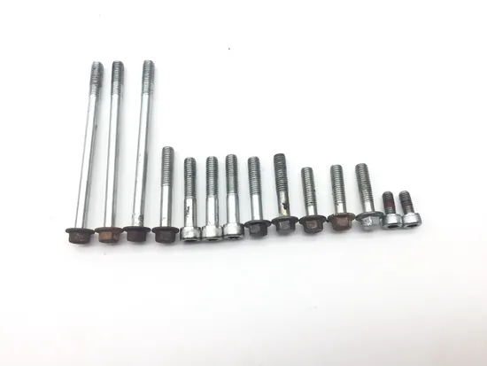 500 Rubicon Outer Stator Cover from 2005 Honda GPS