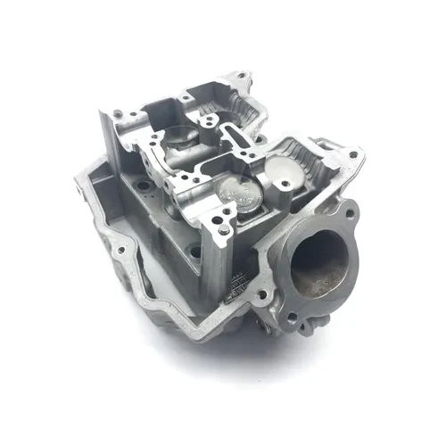 Engine Cylinder Head Complete W Cams Rear Aprilia RST1000 Futura 2135 6