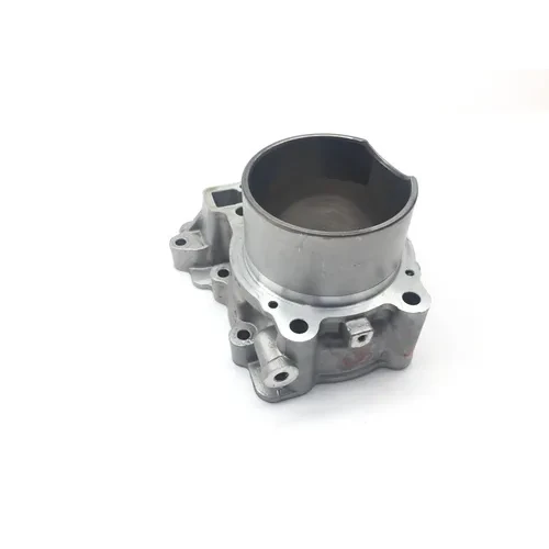 Engine Cylinder Jug W Piston Front Aprilia RST1000 Futura 2135 5