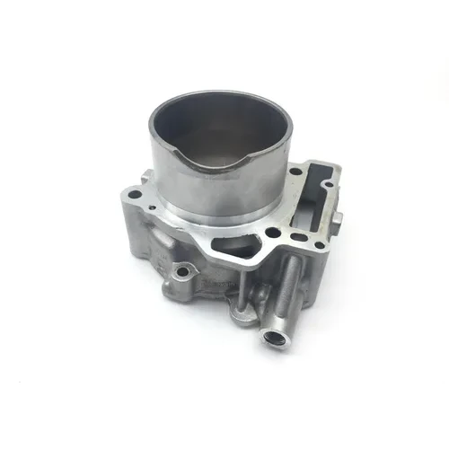 Engine Cylinder Jug W Piston Front Aprilia RST1000 Futura 2135 6
