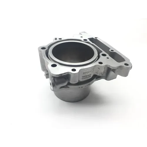 Engine Cylinder Jug W Piston Front Aprilia RST1000 Futura 2135 2