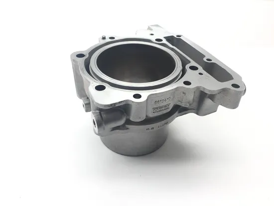 Engine Cylinder Jug W Piston Front Aprilia RST1000 Futura 2135