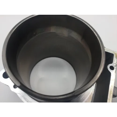 Engine Cylinder Jug W Piston Front Aprilia RST1000 Futura 2135 7