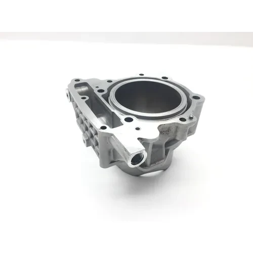 Engine Cylinder Jug W Piston Front Aprilia RST1000 Futura 2135 3