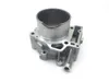 Engine Cylinder Jug W Piston Front Aprilia RST1000 Futura 2135