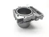 Engine Cylinder Jug W Piston Front Aprilia RST1000 Futura 2135