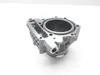 Engine Cylinder Jug W Piston Front Aprilia RST1000 Futura 2135