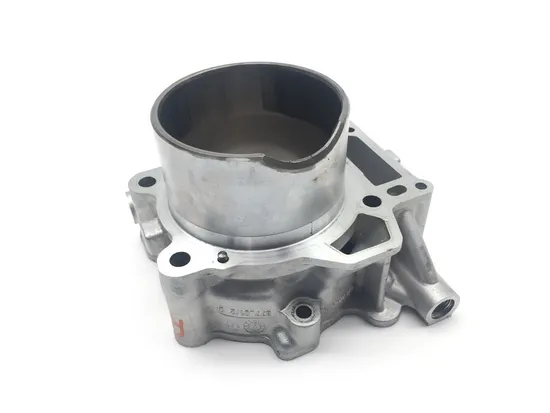 Engine Cylinder Jug W Piston Rear Aprilia RST1000 Futura 2135