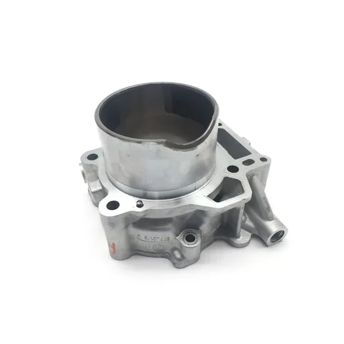 Engine Cylinder Jug W Piston Rear Aprilia RST1000 Futura 2135 6