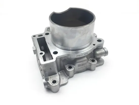 Engine Cylinder Jug W Piston Rear Aprilia RST1000 Futura 2135