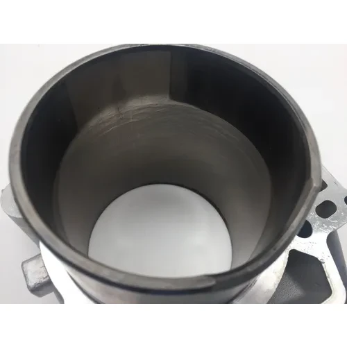 Engine Cylinder Jug W Piston Rear Aprilia RST1000 Futura 2135 7