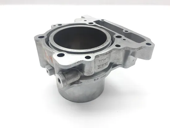 Engine Cylinder Jug W Piston Rear Aprilia RST1000 Futura 2135