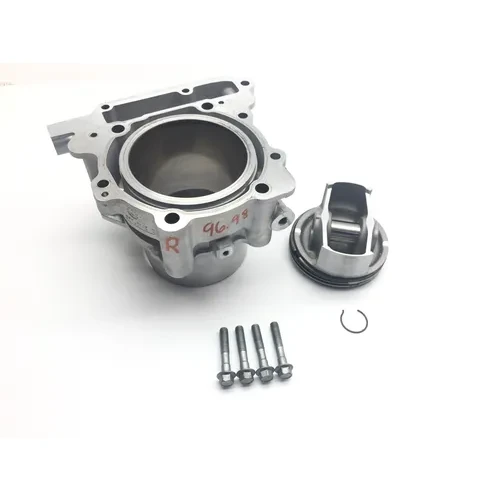 Engine Cylinder Jug W Piston Rear Aprilia RST1000 Futura 2135
